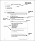 Typographical Conventions